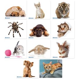  Коврик для мыши DEFENDER Silk (50706) Assorti 