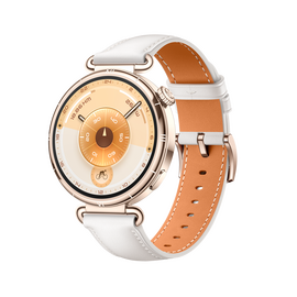  Smart-часы HUAWEI GT 6 KSU-B19 55020FVV White 