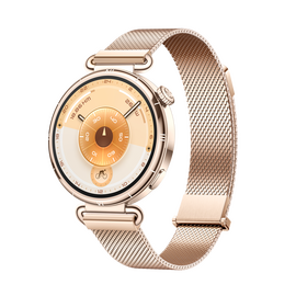  Smart-часы HUAWEI GT 6 KSU-B19 55020FVW Gold 