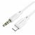  Дата-кабель BOROFONE BL18 iP silicone digital audio conversion cable (белый) 