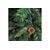  Ель ROYAL CHRISTMAS Detroit Premium PVC 210см 527210 