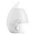  Увлажнитель воздуха ECOSTAR ESH-HP250/2,6M-WT 