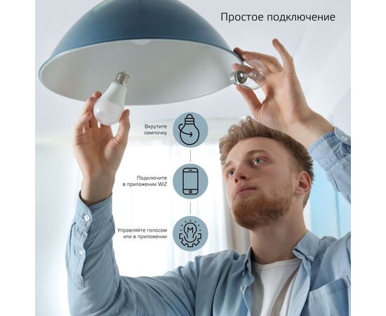  Умная лампа Gauss IoT Smart Home (1110112) E14 5Вт 470lm Wi-Fi 