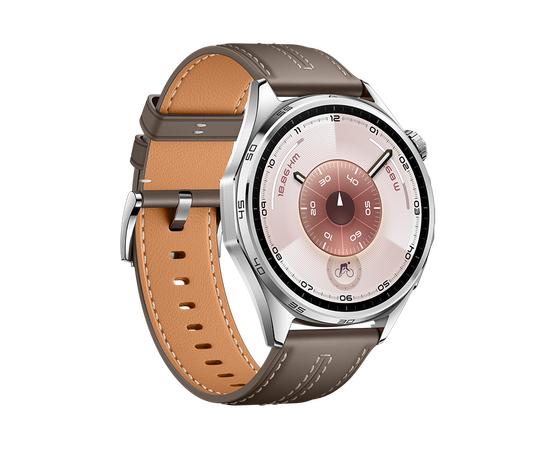  Smart-часы HUAWEI GT 6 ATM-B19 55020FWE Grey 